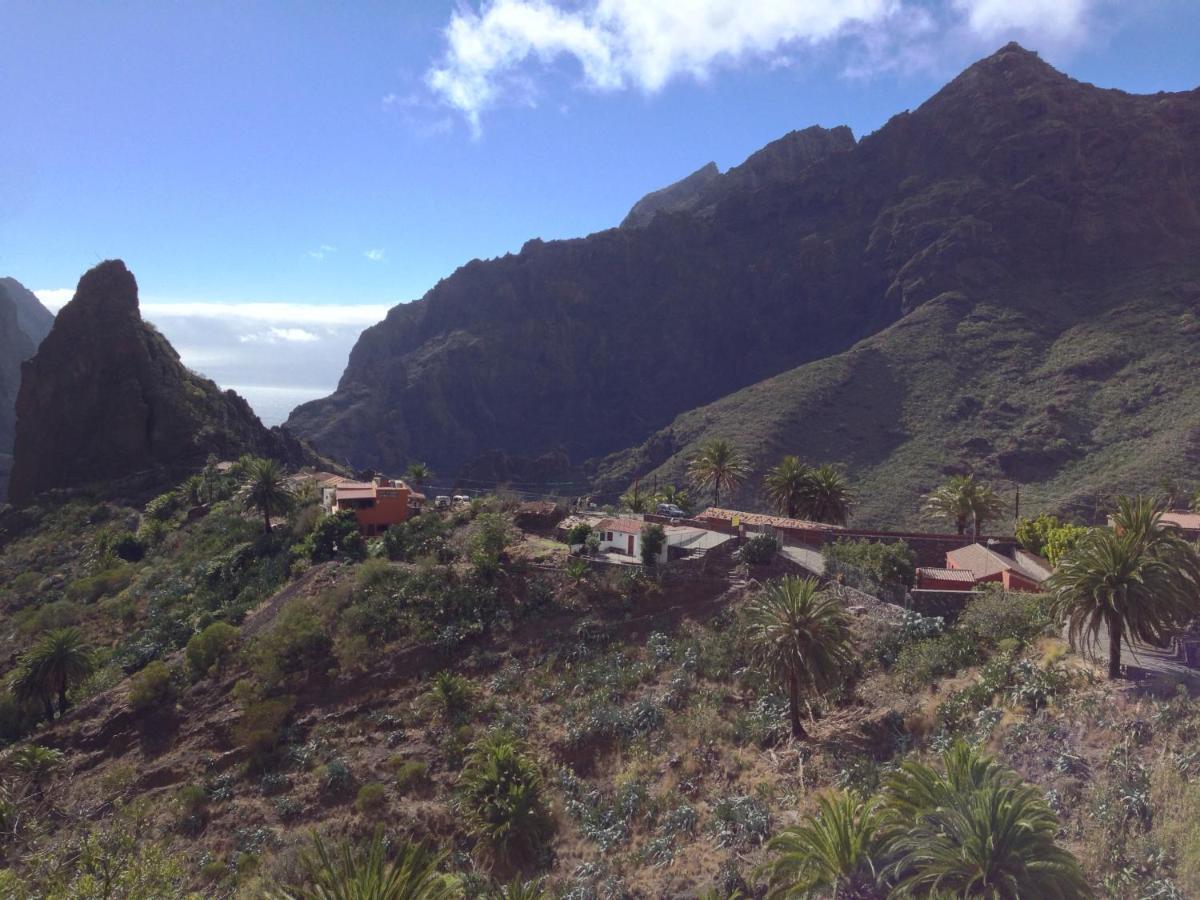 Wifi Tenerife Sur Guest House Гранадилла-де-Абона Экстерьер фото